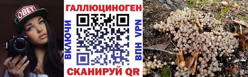 Псилоцибиновые грибы Psilocybine cubensis  Бакал 